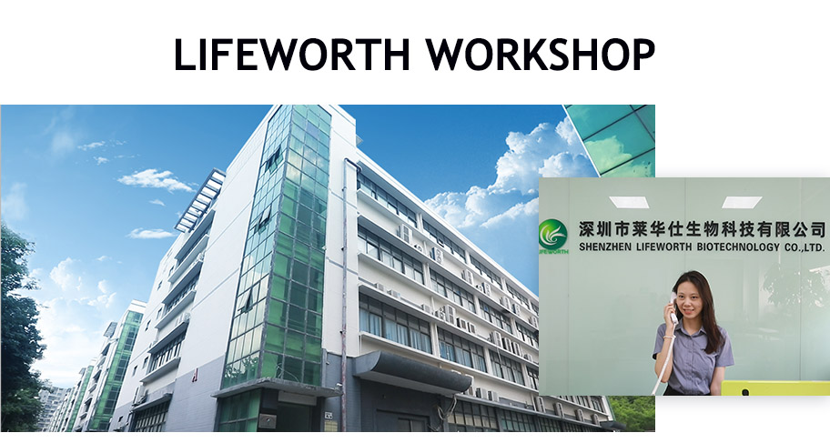 LIFEWORTH Company